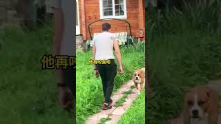 人狗极限猜忌，上演无间道 #搞笑配音 #奥运剧有戏