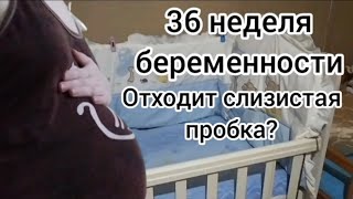 36 неделя беременности🤰/Отходит слизистая пробка?/Каменеет живот/Опустился живот? Организм очищается