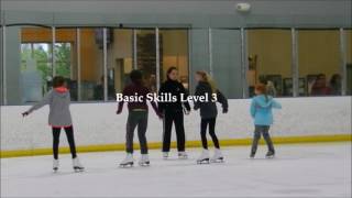 Figure Skating Basic Skills  Level 1-3