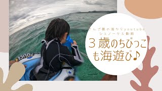 【石垣島の海】冬こそシュノーケル！3歳児も楽しんだ海遊び11月10日シュノーケリングツアーの動画