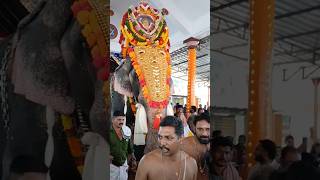 Guruvayoor Indrasen ❤️💕 || Sakthikulangara sree Dharmasastha Temple #keralafestivals #keralaelephant