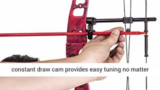 Cajun Bowfishing Shore Runner Kit Compound Bowfishing Bow Ready to Fish Kit with Arrow Rest Reviews