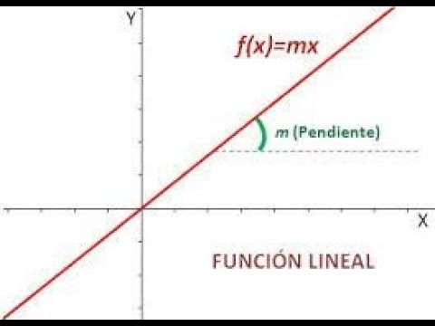 Como Identificar M Y B En Funcion Lineal Decimo Año - YouTube