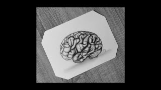 How To Draw A Human Brain Easy Step By Step