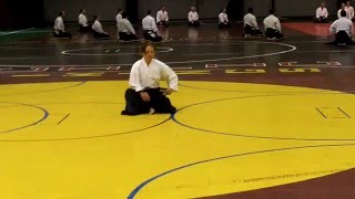 Camp Countdown - Katherine Heins: Iaido chuden iwanami