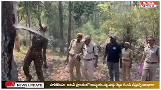 || పాపికొండల నేషనల్ అటవీ ప్రాంతంలో అద్భుతం|| #papikondalu #forest  Media News Telugu