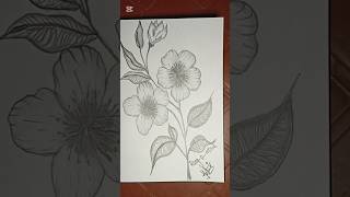 Easy flower sketch #art #shortvideo #viralvideo #sketch #flowers #drawing #easydrawing