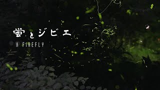 【旅log】蛍とジビエ🦛🌜 [兵庫県養父市]