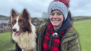 Training Our Sheep Dogs