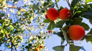 [신천지 예수교회] 말씀이 있는 풍경 - 가을 - 04 - 요엘 2장 22~24절