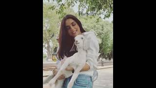 Maya Ali Beautiful Video Playing With Goat Baby |Whatsapp Status