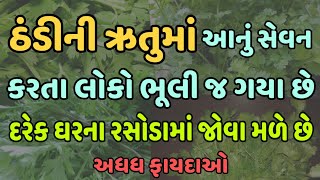 ઠંડીની ઋતુમાં આનું સેવન કરતા લોકો ભૂલી જ ગયા છે,દરેક ઘરના રસોડામાં જોવા મળે છે | Veidak vidyaa | 1 |