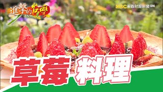 春饗酸甜好滋味！鮮紅草莓私房料理 第312集《進擊的台灣》part1｜張卓婷