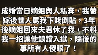 成婚当日嫡姐与人私奔，我替嫁后世人骂我下贱倒贴，3年后嫡姐回来夫君休了我，不料我一招让他鋃鐺入狱，随后的事所有人傻眼了！