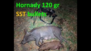 Feral Hog Eradication, 6.8 SPC, 120 gr Hornady SST bullets, N-Vision Halo, Thunderchicken Suppressor