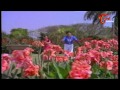 peddinti alludu movie songs abbalalooo suman nagma