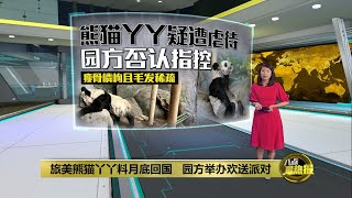 结束20年旅美生涯   旅美熊猫丫丫料月底回国 | 八点最热报 10/04/2023