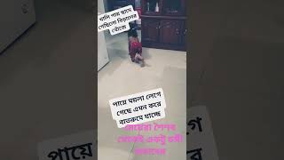 তেমন কিছু না,মা বলেছিল কাদা পায়ে ঘরে উঠতি না#vews #shorts #viral #subscribe #short #share