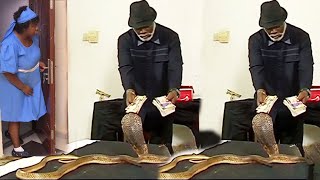 Just Release Now - The Boss \u0026  Snake - New Release Village Nigerian Nollywood 2025 Full Movie