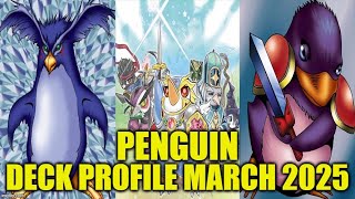 PENGUIN DECK PROFILE (MARCH 2025) YU-GI-OH!