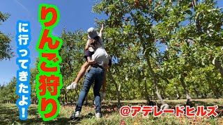 アデレードヒルズ🍎りんご狩りへ行ってきたよ🍎　Lenswood pick Your Own🍎