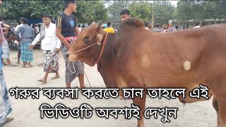 গরুর ব্যবসা কিভাবে করবেন গরুর খামার কিভাবে করবেন কোন বাজারে গরু সস্তা পাবেন  | cow price #২০২৩