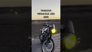 YAMAHA ルネッサ250 二本出しスパトラ アイドリングサウンド