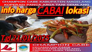 Liputan info harga lelang cabai lokal!!Tanggal 21 Januar 2025 Kab.Magelang @Sariftanichannel6685