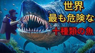 世界で最も危険な魚，人食い魚は6位だ，1位はなんと私たちのそばにいたのか