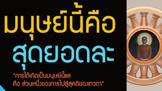 ศรัทธาในคำสอน ที่ตถาคตประกาศไว้ดีแล้ว , การเกิดเป็นมนุษย์นี้แล คือส่วนหนึ่งของการไปสู่สุคติของเทวดา