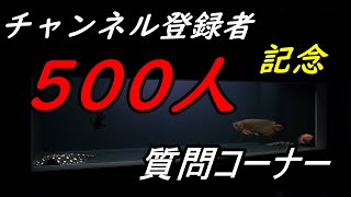 登録者500人達成！！　質問コーナー