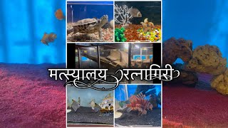 रत्नागिरी मत्स्यालय | Aquarium in ratnagiri