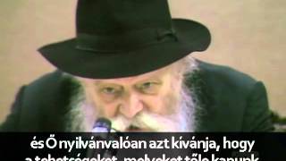 a lubavicsi rebbe: Nagy üzlet