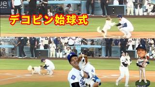 デコピン 始球式 大谷翔平 ボブルヘッドナイト ドジャース Decoy first pitch Shohei Ohtani