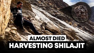 We Almost Died Harvesting Shilajit in the Himalayan Mountains