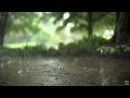 Relaxing Rain Sounds & Water Sounds White Noise for Sleep I White Noise ASMR