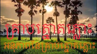 ផ្លែត្នោតភ្លោះបួន ត្នោតជុំ អនុភាពនៃត្នោតភ្លោះបួន មាននិស្សយ័អាចជាវបាន 015564968