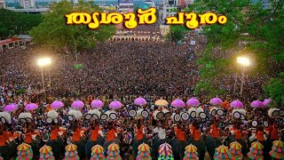 തൃശൂർ പൂരത്തിൻ്റെ തുടക്കം മുതൽ അവസാനം വരെ I Thrissur pooram I Malayalam I