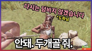 유튜버 뚝배기 수집 전문가