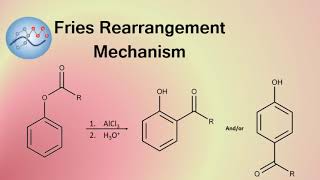 Fries Rearrangement Mechanism | Organic Chemistry