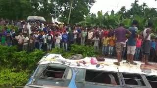 Haldibari to Jalpaiguri bus