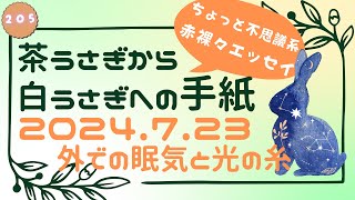 茶うさぎから白うさぎへの手紙 2024「205. 外での眠気と光の糸」