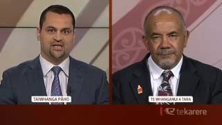 Minister responds to questions on Ture Whenua Māori reforms