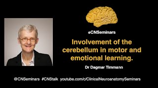 #CNStalk: Involvement of the cerebellum in motor and emotional learning - Dagmar Timmann