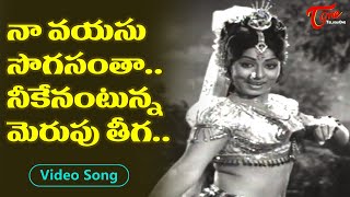 నా వయసు సొగసూ నీదేనంటున్న మెరుపుతీగ..| Singer P Suseela Super Hit Item Song | Old Telugu Songs