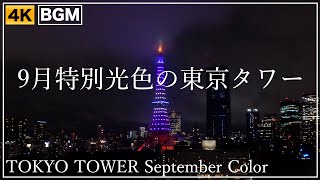 9月の東京タワーの夜景・ライトアップ（2022/9/20）TOKYO-TOWER