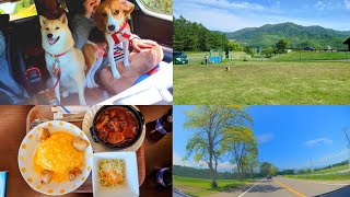 「柴犬＆ビーグル犬と新緑ドライブ♪」モンベル南富良野店見学＆ランチ♪かなやま湖畔キャンプ場の広いドックランで遊んだよ♪