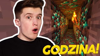 KOPAŁEM SIĘ PROSTO PRZEZ 1 GODZINĘ W MINECRAFT...