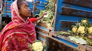 ফুলকপির পাইকারি দামঃ আজকের ফুলকপির দাম কত, কাঁচা বাজারের পাইকারী আড়ৎ কাওরান বাজার