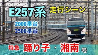 E257系2000番台・2500番台 特急\